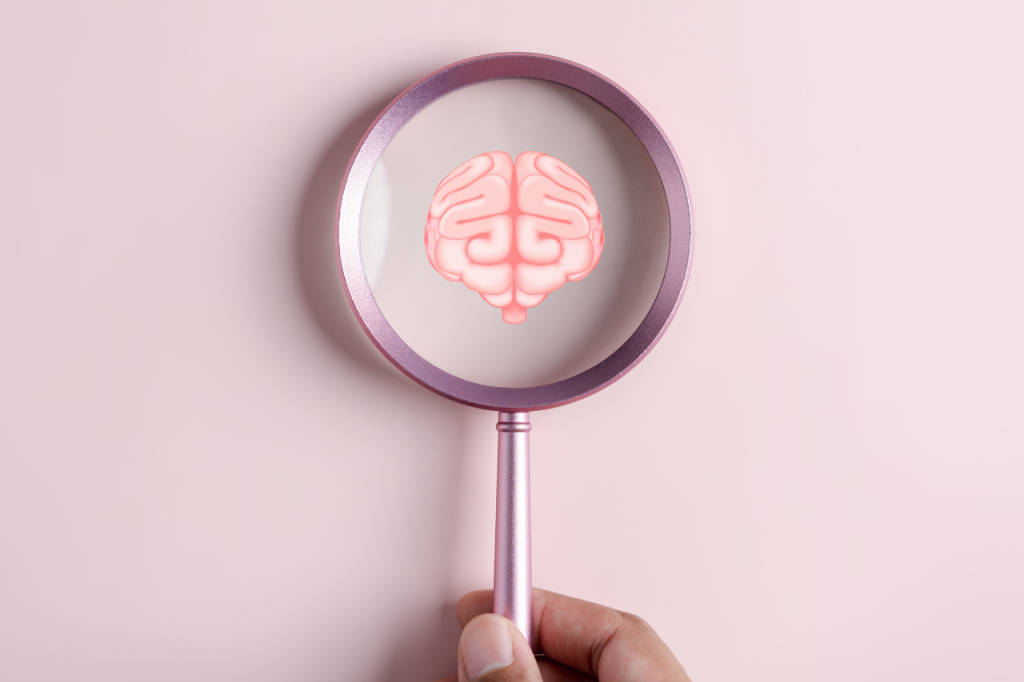 desarrollo de organoides cerebrales a partir de tejido cerebral fetal humano