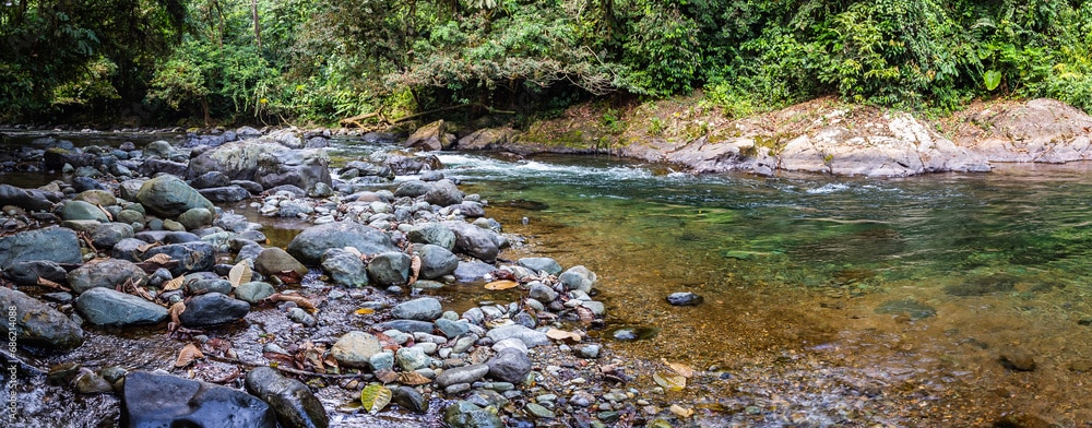 Conservación integral del Chocó Andino: estrategias y compromisos