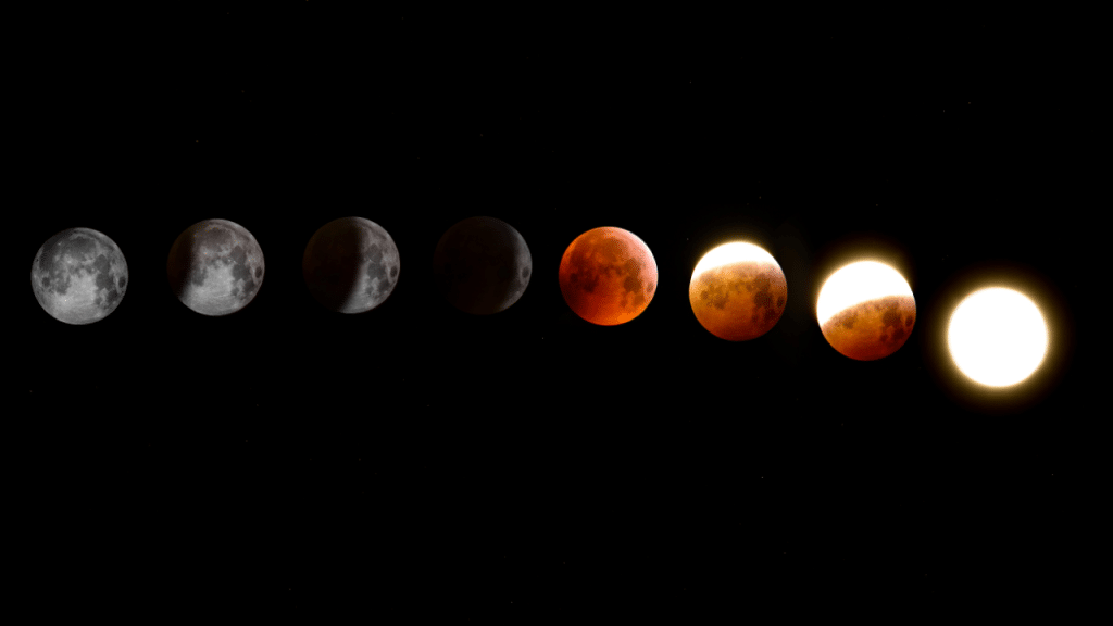 Más allá de la luna: la influencia de los ritmos circadianos en el ciclo menstrual