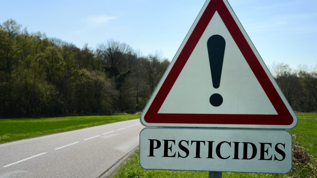 La compleja evaluación de los riesgos por uso de pesticidas