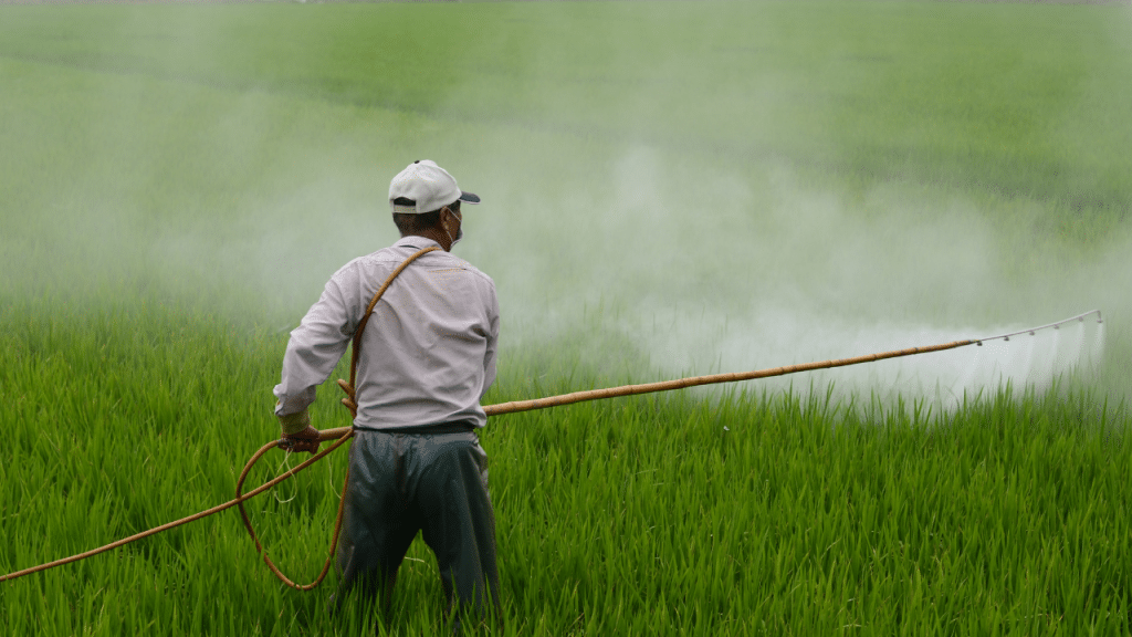 La compleja evaluación de los riesgos por uso de pesticidas