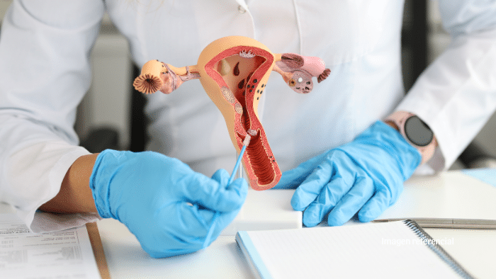 Mayo Clinic desarrolla pruebas caseras con hisopo para cánceres de endometrio y ovario