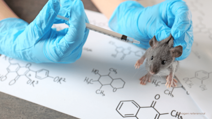 ¿Se podría prolongar la vida? Descubren cómo inhibir una proteína inflamatoria