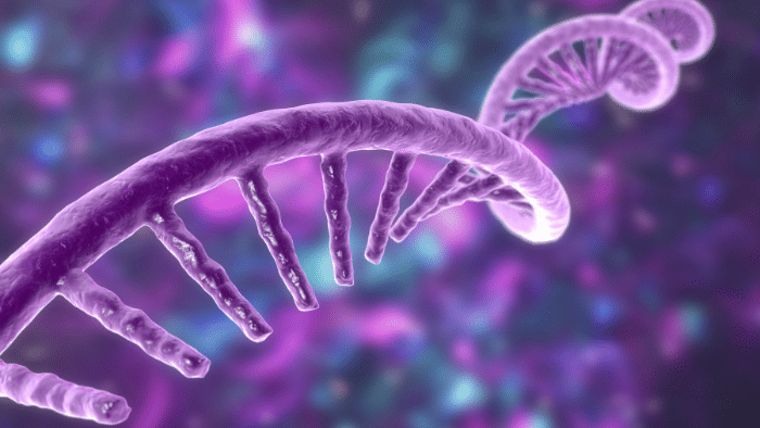 Organismos espejo: Innovaciones y riesgos en biología sintética