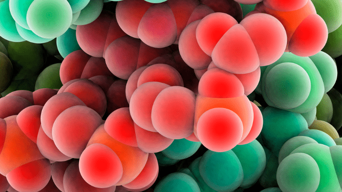 Organismos espejo: Innovaciones y riesgos en biología sintética