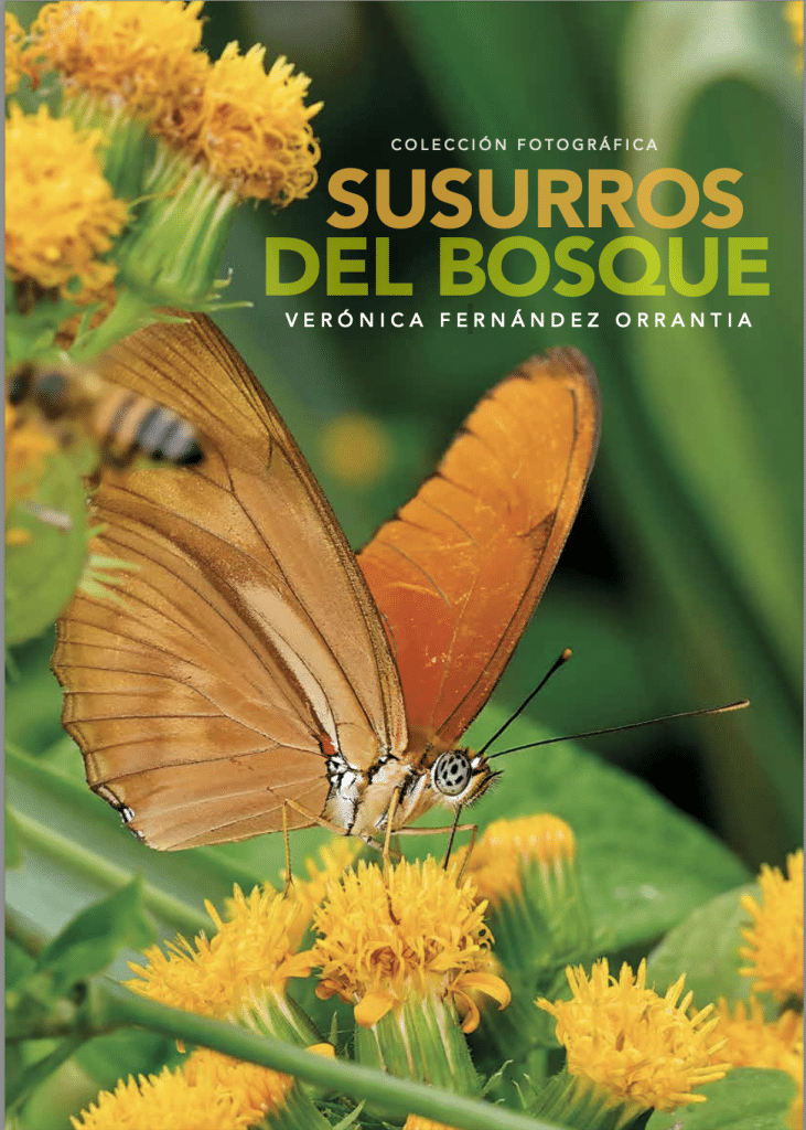 Susurros del Bosque