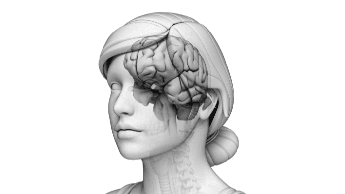 Cromosoma X y envejecimiento: Descubren su papel en la salud cerebral femenina