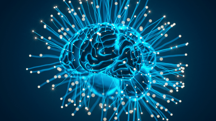 Descubren cómo varían las mitocondrias en el cerebro: MitoBrainMap nueva vía en neurociencia