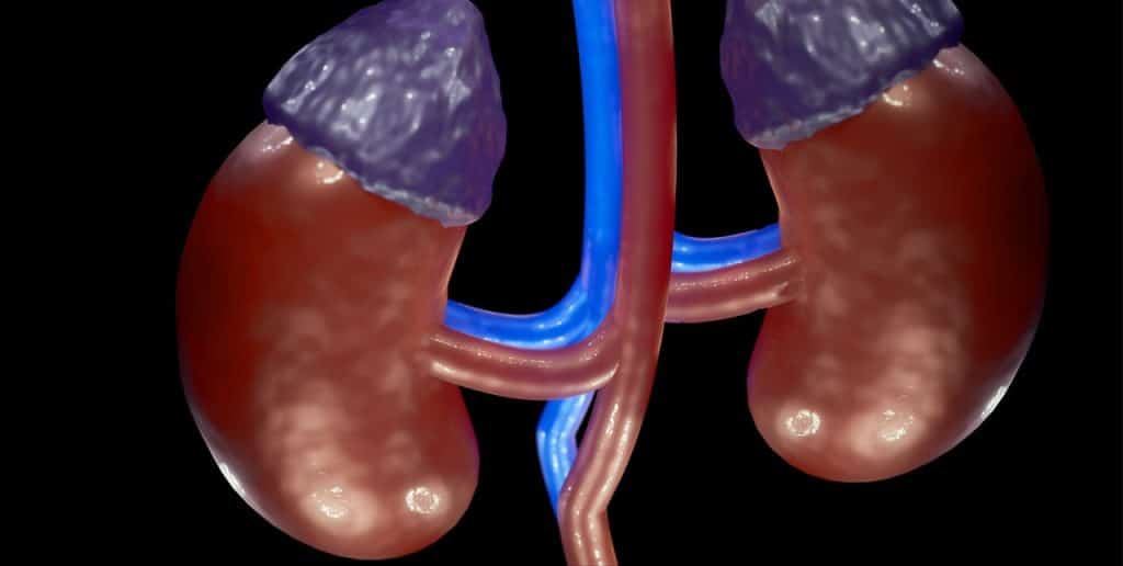 Insuficiencia renal post-COVID: nueva evidencia desde Inglaterra