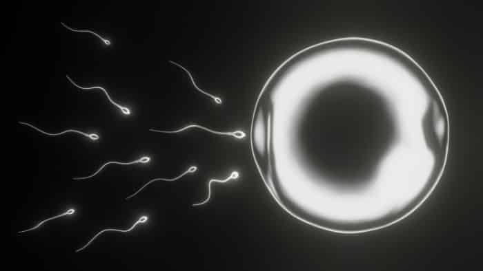 Pruebas genéticas en reproducción asistida: ¿avance médico o promesa falsa?