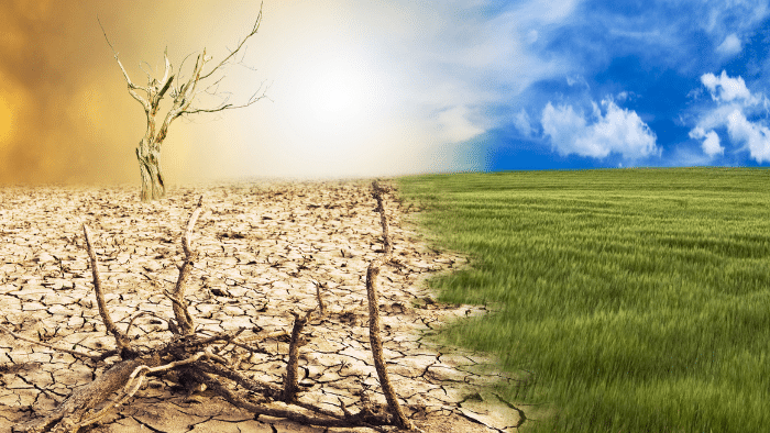 Clima y medio ambiente
