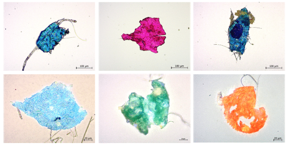 microplásticos en la sal de consumo humano