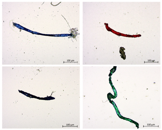 microplásticos en la sal de consumo humano