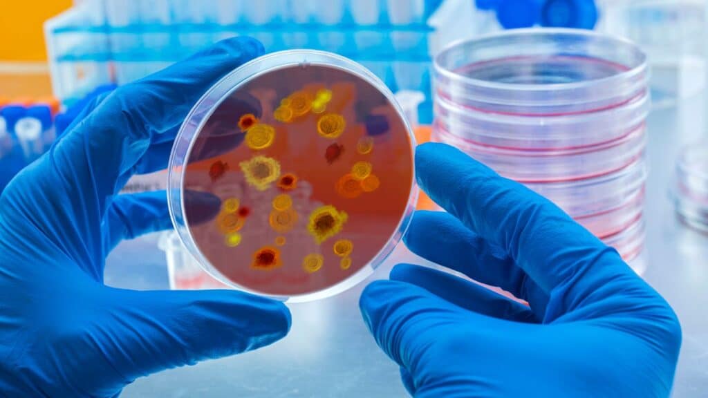 próxima pandemia. preparación ante pandemias, virus emergentes, vigilancia epidemiológica, enfermedades zoonóticas, salud pública