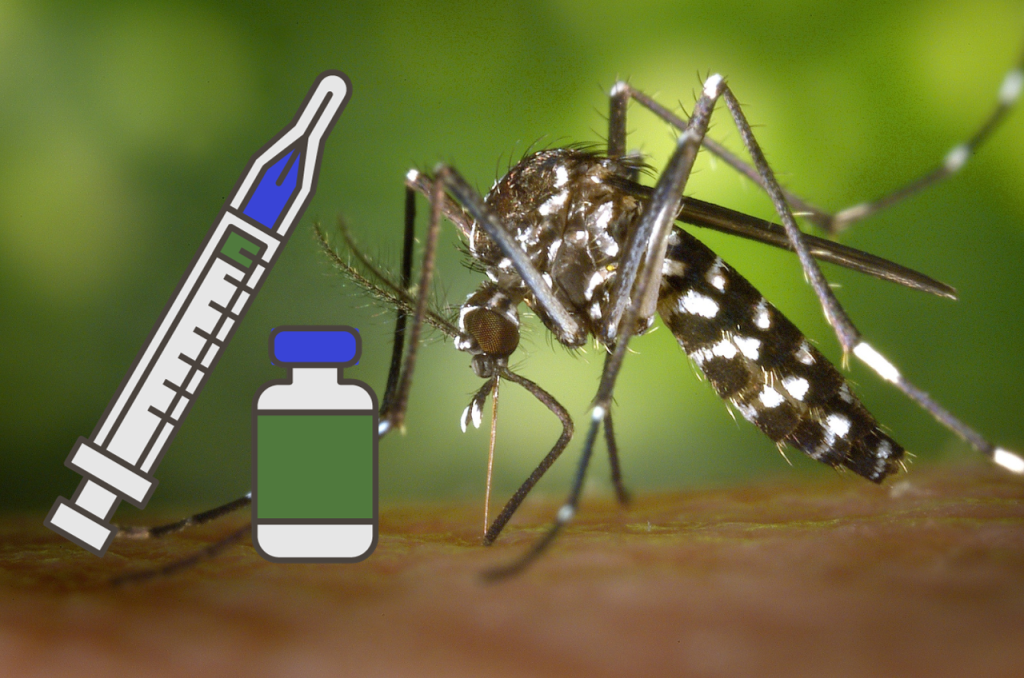 Vacuna contra chikungunya aprobada en EE. UU.