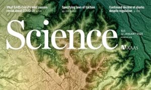 Descubrimiento en el Alto Amazonas ecuatoriano evidencia que hace 2500 años hubo urbanismo temprano en la región