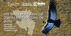 Las áreas protegidas del Distrito Metropolitano de Quito