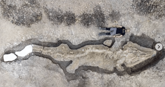 El mayor reptil de la historia fue descubierto en Reino Unido: un ictosaurio titánico