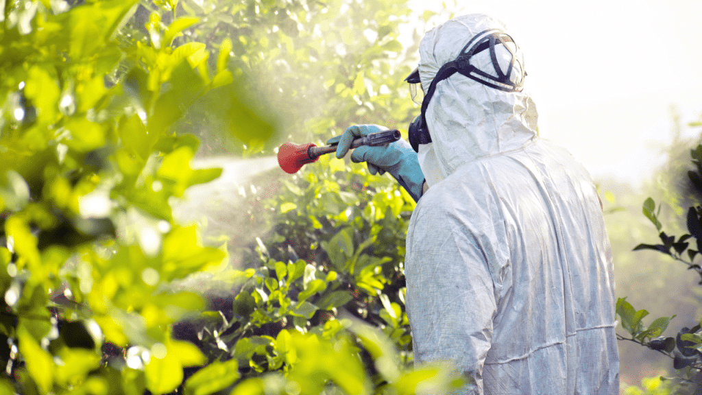 La compleja evaluación de los riesgos por uso de pesticidas