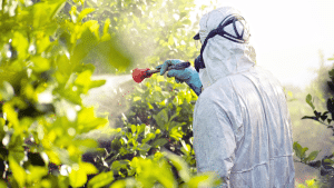 La compleja evaluación de los riesgos por uso de pesticidas
