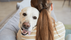 Los perros pueden ayudar a monitorear la salud pública y el bienestar