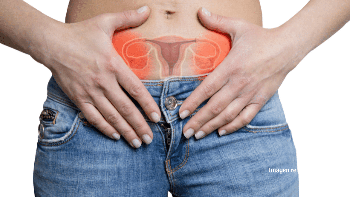 Científicos de Mayo desarrollan pruebas caseras con hisopo para cánceres de endometrio y ovario