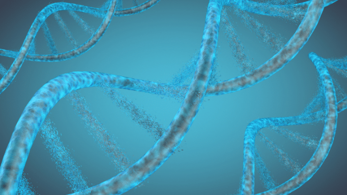 Organismos espejo: Innovaciones y riesgos en biología sintética