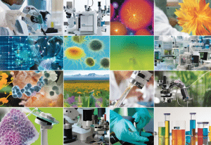 2024: Un año de avances en medicina y tecnología científica