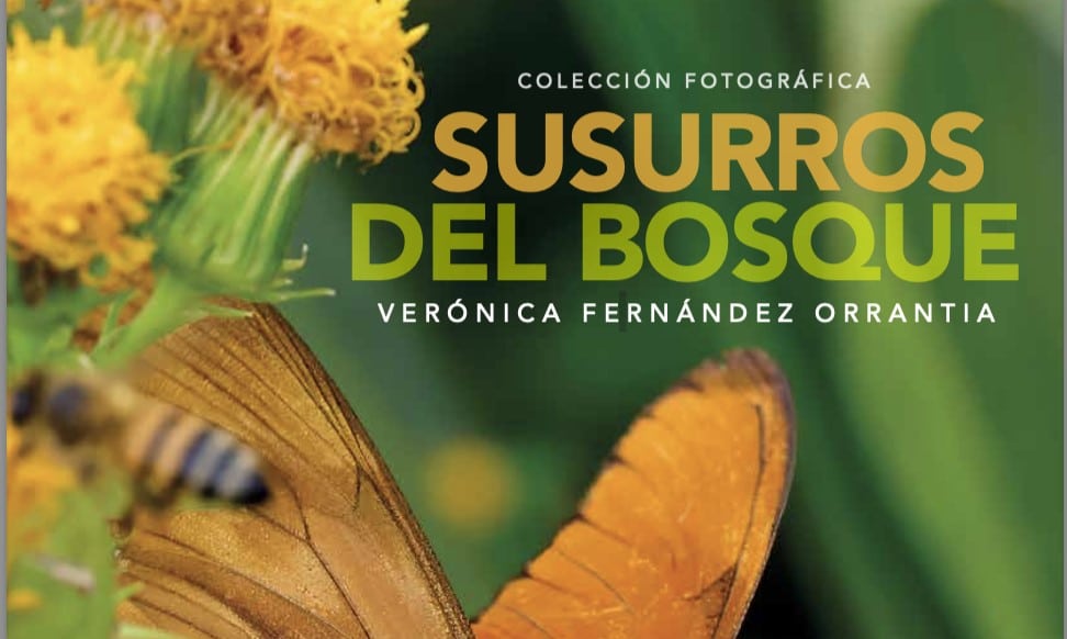SUSURROS BOSQUE