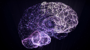 Descubren cómo varían las mitocondrias en el cerebro: MitoBrainMap nueva vía en neurociencia