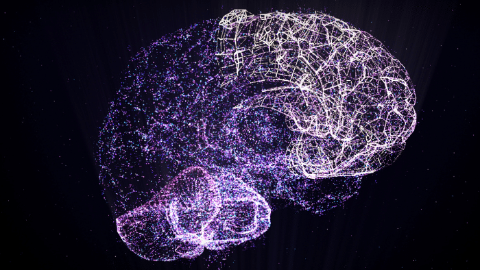 Descubren cómo varían las mitocondrias en el cerebro: MitoBrainMap nueva vía en neurociencia