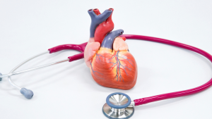 La rehabilitación cardiaca reduce infartos y hospitalizaciones en personas con enfermedad coronaria, según una revisión Cochrane.
