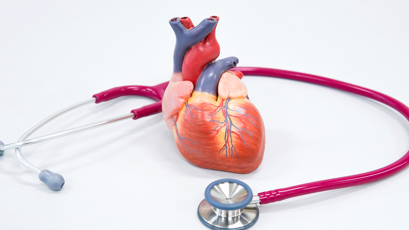 La rehabilitación cardiaca reduce infartos y hospitalizaciones en personas con enfermedad coronaria, según una revisión Cochrane.